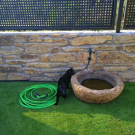 Casa Rural El Gato Negro Trefacio Ngoại thất bức ảnh