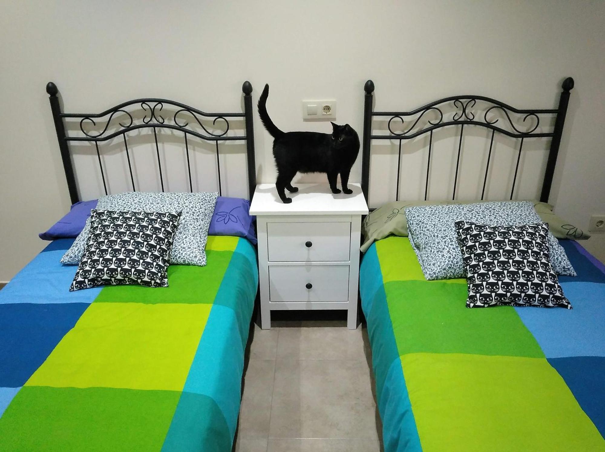 Casa Rural El Gato Negro Trefacio Ngoại thất bức ảnh