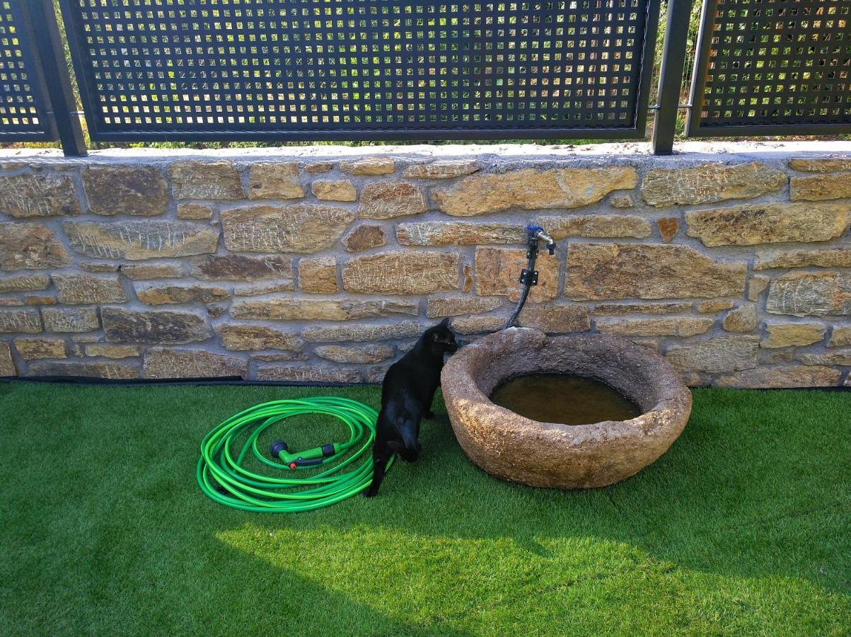 Casa Rural El Gato Negro Trefacio Ngoại thất bức ảnh