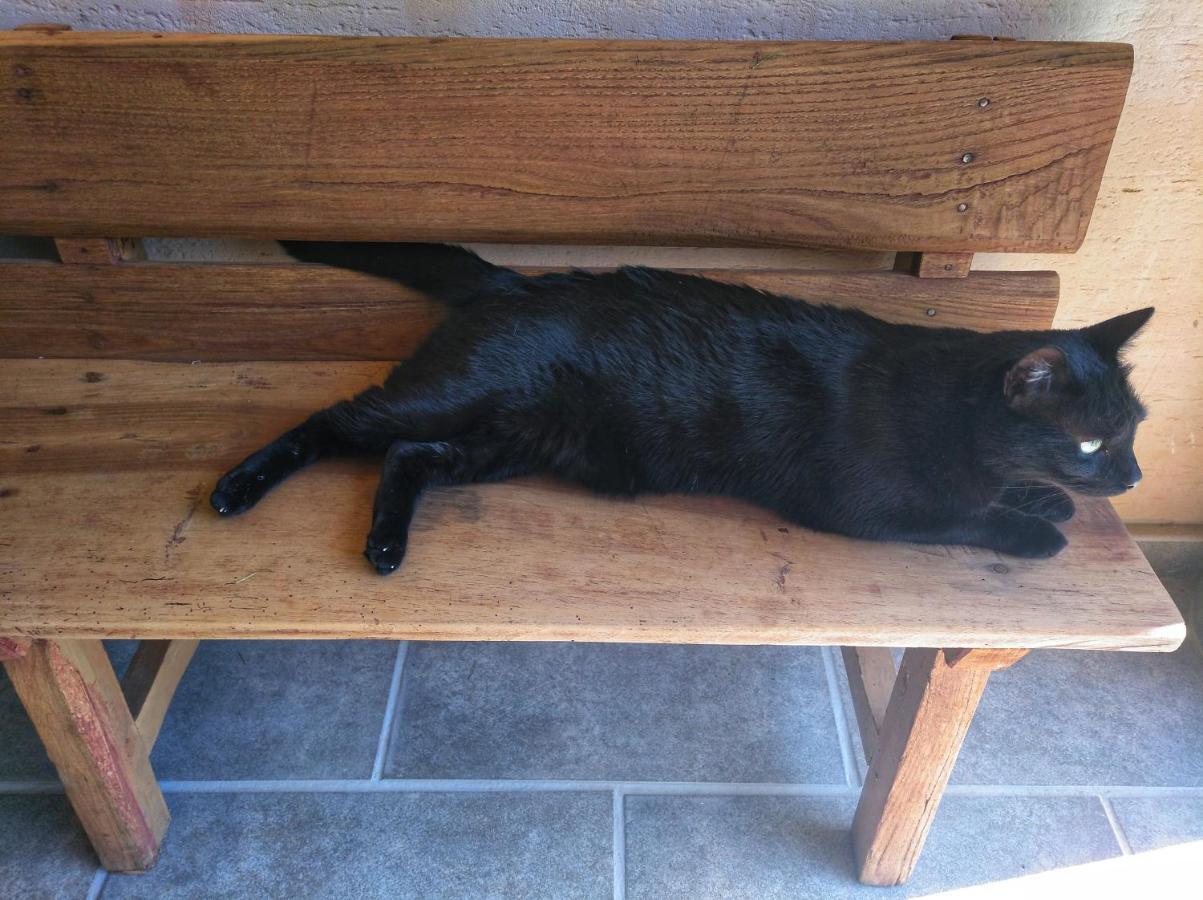 Casa Rural El Gato Negro Trefacio Ngoại thất bức ảnh